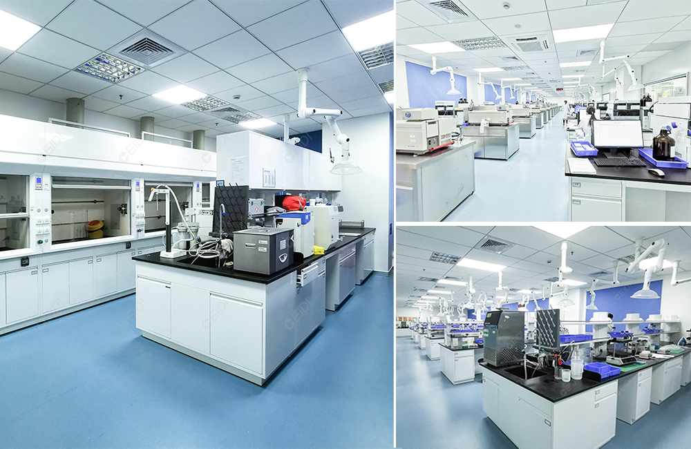 從理論到實(shí)踐，藥品檢驗(yàn)檢測(cè)實(shí)驗(yàn)室標(biāo)準(zhǔn)建設(shè)方案指南 